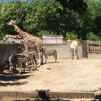Zoo Aquarium de Madrid - Zoos Near Me - Madrid, M