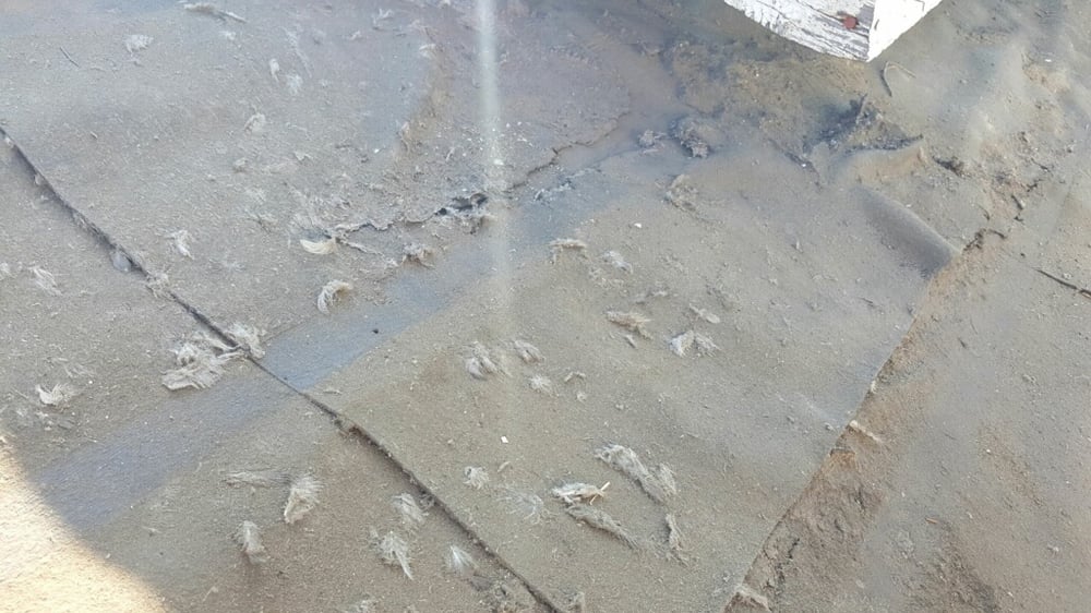 Slide of Ocean Roofing