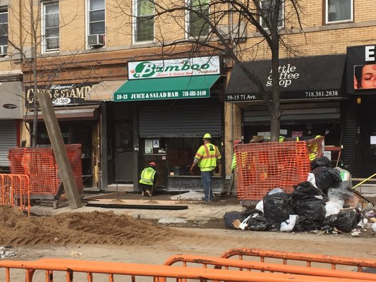 Bamboo Tropical by null