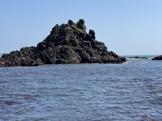 Yaquina Head Lighthouse by null