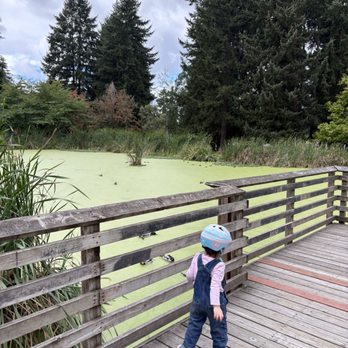 Cochrane Memorial Park - Parks Near Me - Yelm, Washington Cochrane Memorial Park - Parks Near Me - Yelm, Washington
