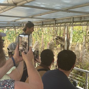 Cajun Encounters Tour Company - Our boy Rocky the raccoon - Tours Near Me - Slidell, Louisiana