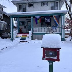 Little Free Library