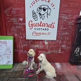 A great place to take your dogs for a pup cup! Nice little picnic table area and delicious frozen custard. A great place to take your dogs for a pup cup! Nice little picnic table area and delicious frozen custard.