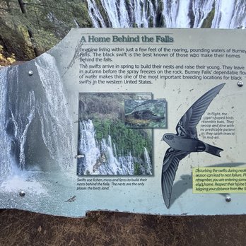 McArthur Burney Falls State Park - Hiking Near Me - Burney, California