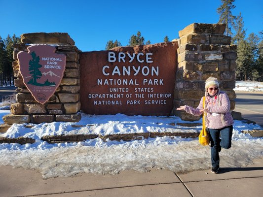 Bryce Amphitheater by null
