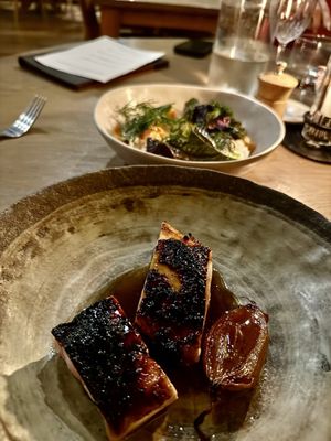 Paperbark Camp by null