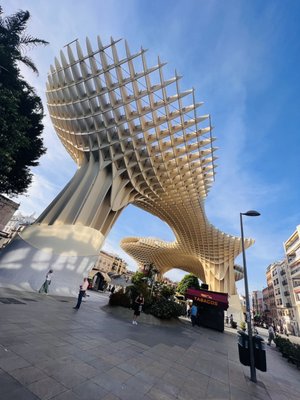 Setas de Sevilla by null