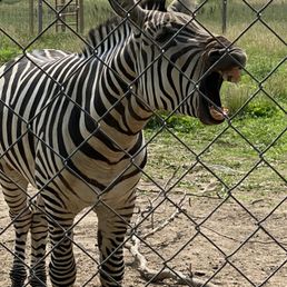 We had a great time at this fantastic zoo! We never expected it to have so much wild life. So glad we brought our little son Nathan along!