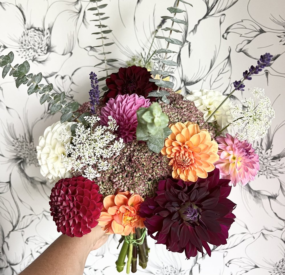 THE FARMER’S DAUGHTER FRUIT & FLOWER FARM Updated September 2024 27