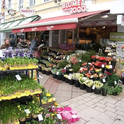 Blume 2000