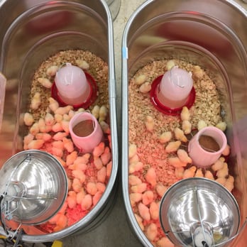 Tractor Supply - Easter chicks - Department Stores Near Me - Cleveland, Tennessee Tractor Supply - Easter chicks - Department Stores Near Me - Cleveland, Tennessee