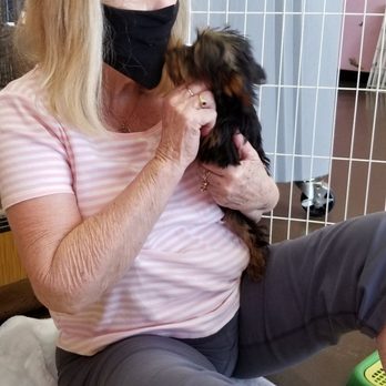 Puppy Town - Purchase date, 2 1\2 mths 2.4 lbs. - Pet Stores Near Me - Las Vegas, Nevada