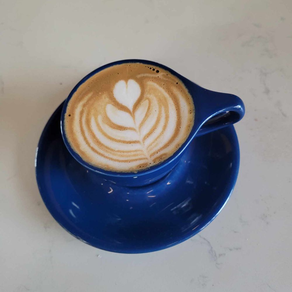 Salt City Bar - cortado - Coffee & Tea Near Me - Syracuse, New York Salt City Bar - cortado - Coffee & Tea Near Me - Syracuse, New York