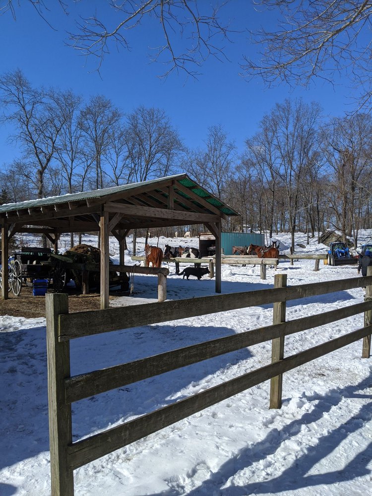 SUNSET STABLES Updated September 2024 28 Reviews 1 Twin River Rd