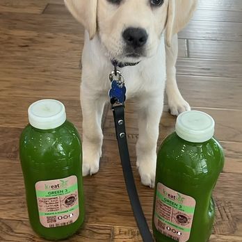 Kreation Pets - Kreation Organic's Green #3 - Juice Bars & Smoothies Near Me - Manhattan Beach, California