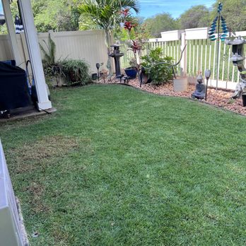 Nifty Lawns - Lawn Services Near Me Nifty Lawns - Lawn Services Near Me