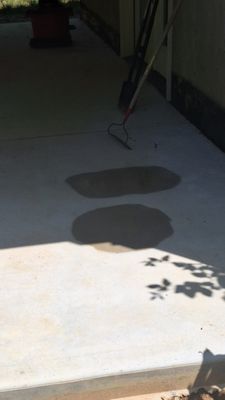 Transformation Painting