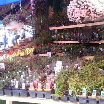 Kensington Fruit Market - Farmers Market Near Me - Toronto, Ontario
