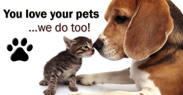 Boulder Gardens by null