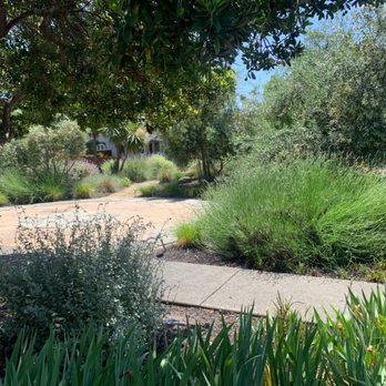 J J Landscaping - Front yard Mediterranean landscaping - Landscaping Near Me - Penngrove, California J J Landscaping - Front yard Mediterranean landscaping - Landscaping Near Me - Penngrove, California