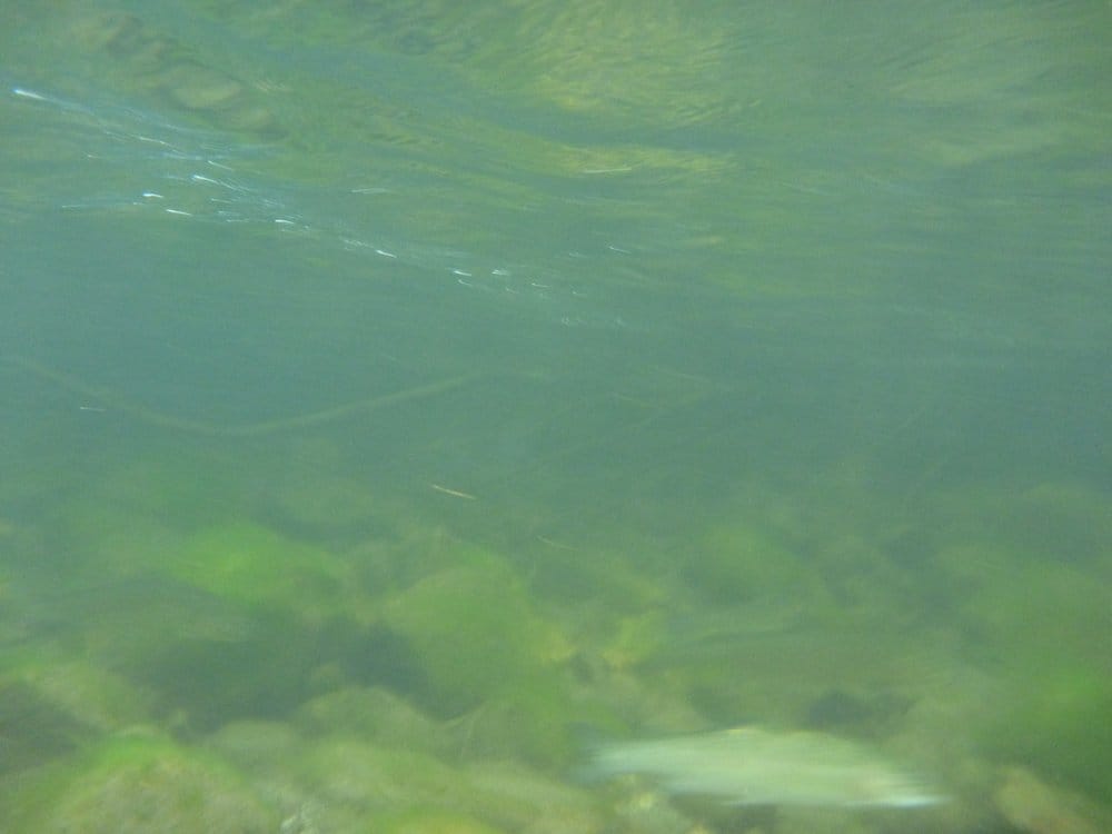 Slide of Thinking Of Granite