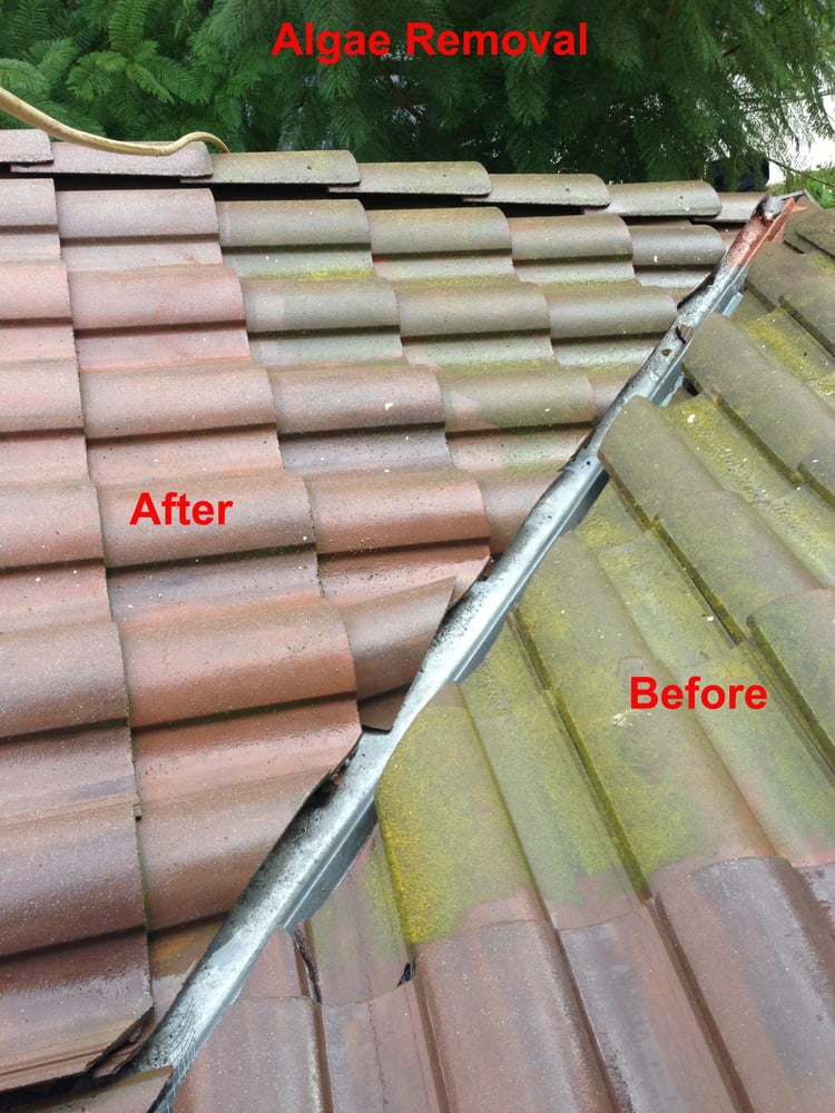 Slide of Strictly Roofs