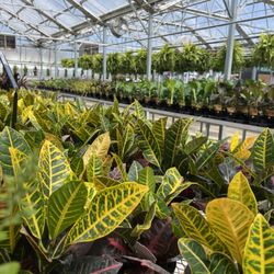 Ferguson's Garden Center