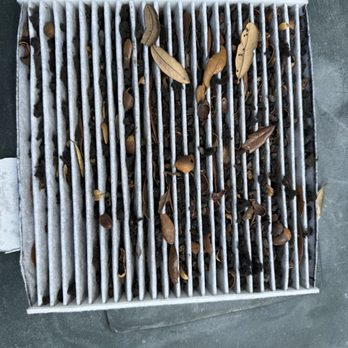Goodyear Auto Service - "Vacuumed" air filter - Tires Near Me - Palm Harbor, Florida