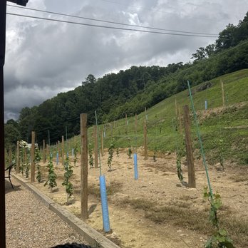 Grandfather Vineyard - Newly planted vineyard 2026 - Wineries Near Me - Banner Elk, North Carolina Grandfather Vineyard - Newly planted vineyard 2026 - Wineries Near Me - Banner Elk, North Carolina