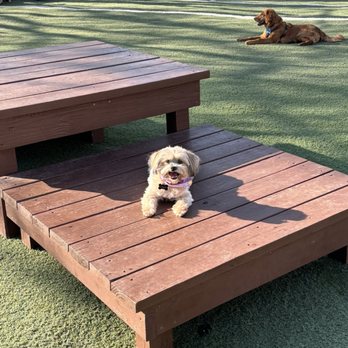Omaha Dog Bar - Dog Parks Near Me - Omaha, Nebraska Omaha Dog Bar - Dog Parks Near Me - Omaha, Nebraska