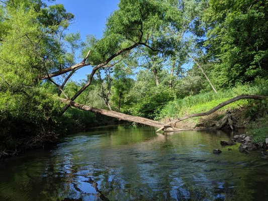 Kayak Pittsburgh North Park by null