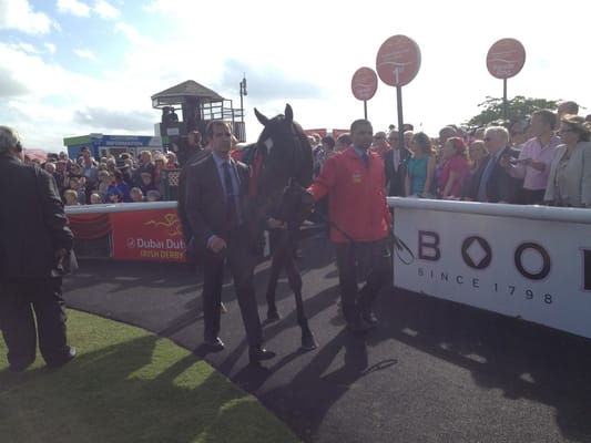 The Curragh Racecourse by null