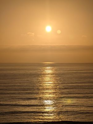 Torrey Pines State Natural Reserve by null