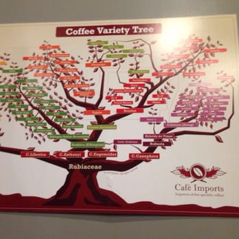 Black Oak Coffee Roasters - Sweet wall art, horrible picture. - Coffee & Tea Near Me - Ukiah, California Black Oak Coffee Roasters - Sweet wall art, horrible picture. - Coffee & Tea Near Me - Ukiah, California