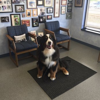 Creature Comforts Animal Clinic - Veterinarians Near Me - Dublin, Ohio