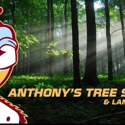 Anthony's Tree Service - untitled