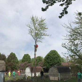 Glovers Tree Service - Tree Services Near Me - Indianapolis, Indiana Glovers Tree Service - Tree Services Near Me - Indianapolis, Indiana