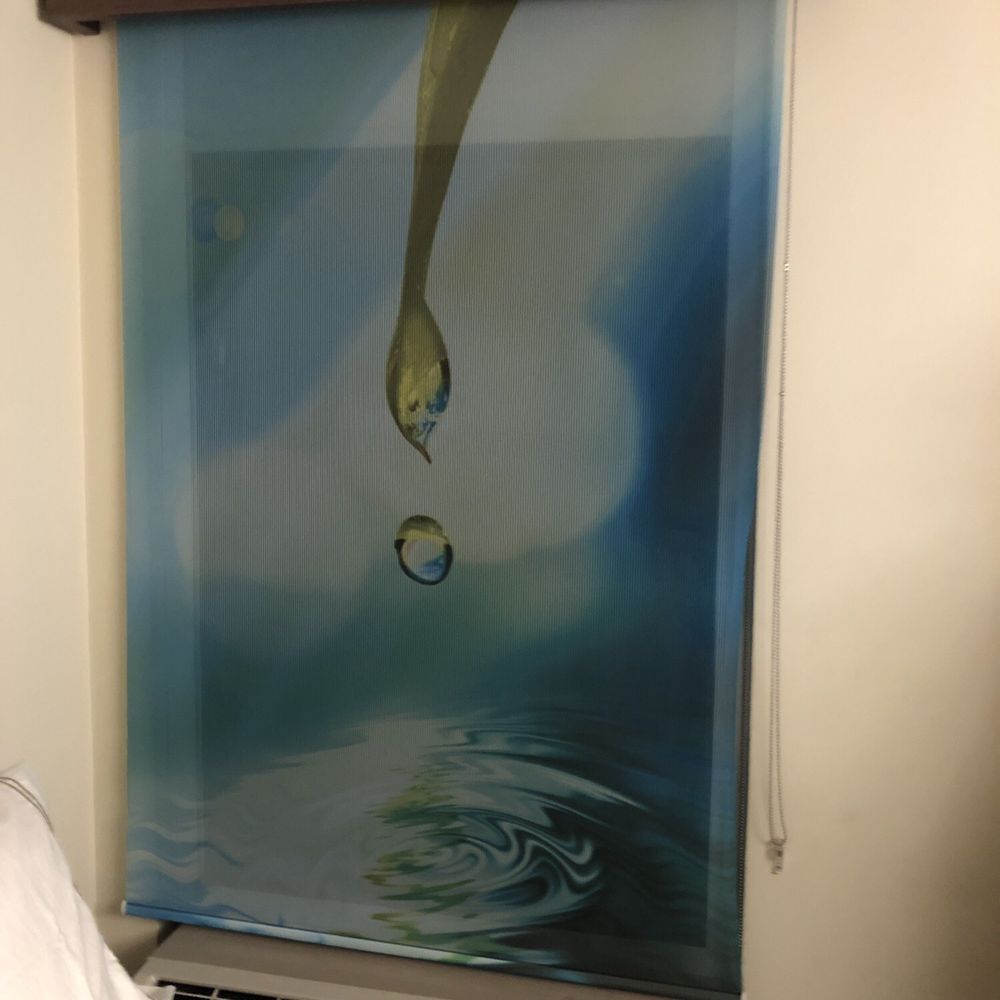 EVEN Hotel Norwalk - Window shade - Hotels Near Me - Norwalk, Connecticut