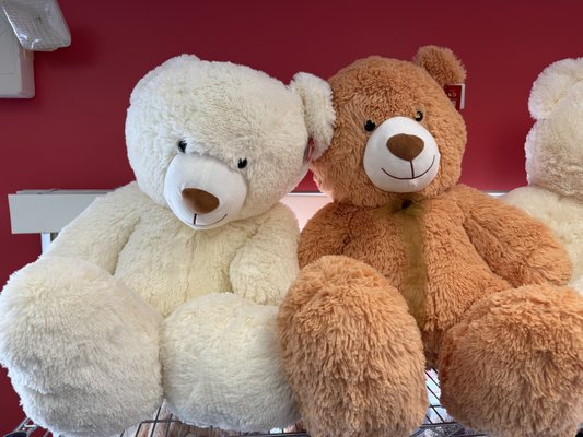 Fozia's Flowers by null