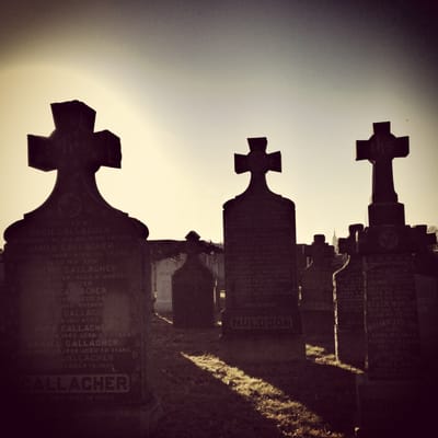 Calvary Cemetery by null