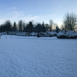 Kall Christmas Tree Farm - Fresh snow on the pre-cut trees