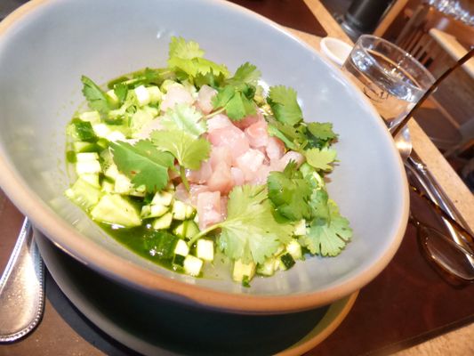 Bruma Valle de Guadalupe by null