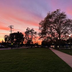 Marchant Park