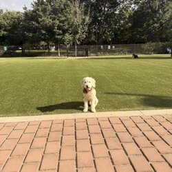 Schuylkill River Dog Run