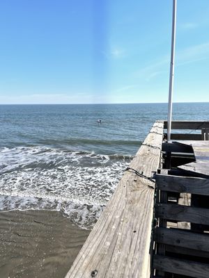 Coot's Bar & Grill by null