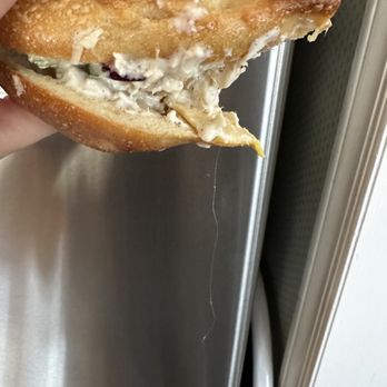 Bagel Hut - Chicken salad sandwich with a nice long hair mixed in - Bagels Near Me - Farmingdale, New York