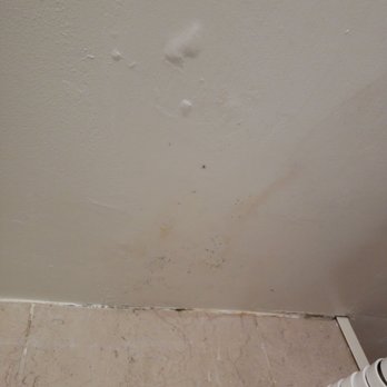 Humphreys Half Moon Inn - Black mold that has been painted over regrown. - San Diego, CA