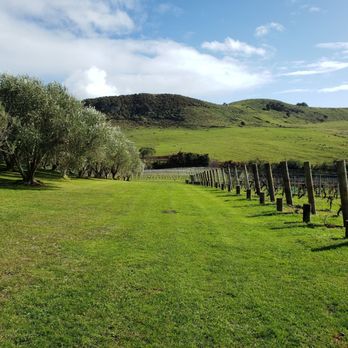 Stonyridge Vineyard - Wineries Near Me - Waiheke Island, AUK Stonyridge Vineyard - Wineries Near Me - Waiheke Island, AUK