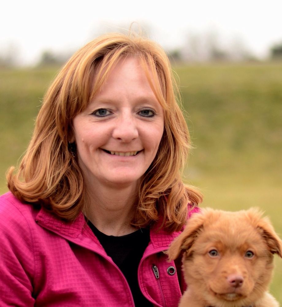 PEAK PERFORMANCE DOG SPORTS 3171 James Branch Rd, Harrisonburg